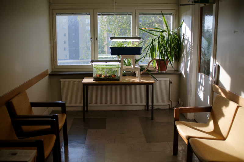 Waiting Room, Erik Sjdin 2014
