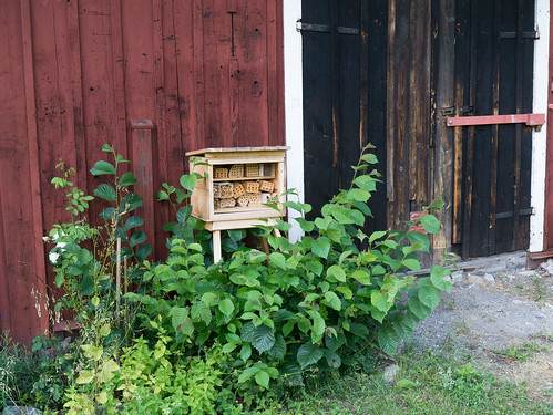 Våra vänner pollinatörerna på Hästa gård, Erik Sjödin 2012