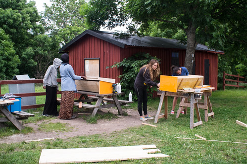Our Friends the Pollinators at Eggeby gård. Photo: Erik Sjödin 2014.