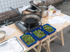 The Azolla Cooking and Cultivation Project at Färgfabriken 2010