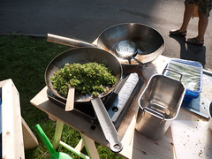 The Azolla Cooking and Cultivation Project at Stockholm Culture Festival 2010